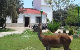 San José